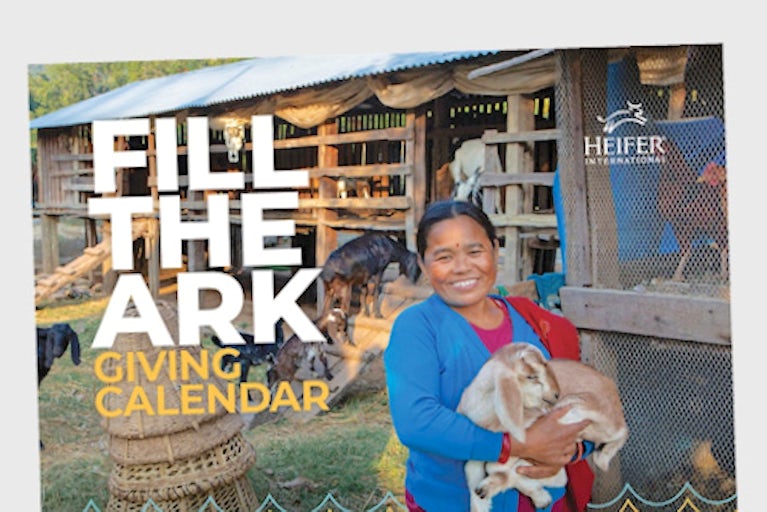 Fill the Ark poster.
