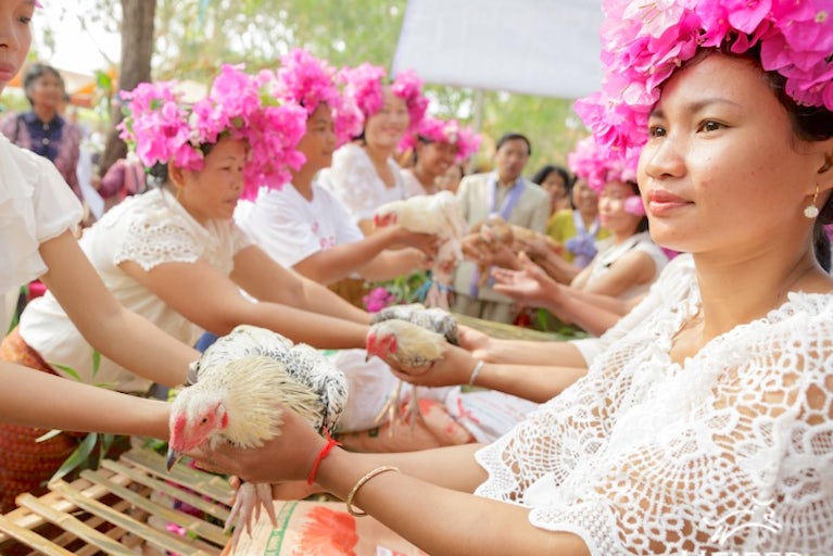 Women on either side of a long wooden table passing chickens down the line. They are wearing pink ceremony head bands.