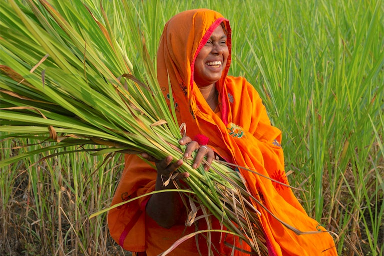 Mosammat Momota Khatun, 40, laughs while collecting super napier grass for fodder near her near their home in Kalikapur village, Bangladesh.