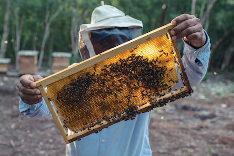 A beekeeper holding up a beehive.