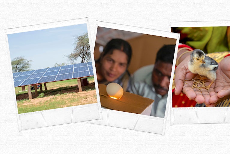Polaroids of solar panels, an egg and a chick.