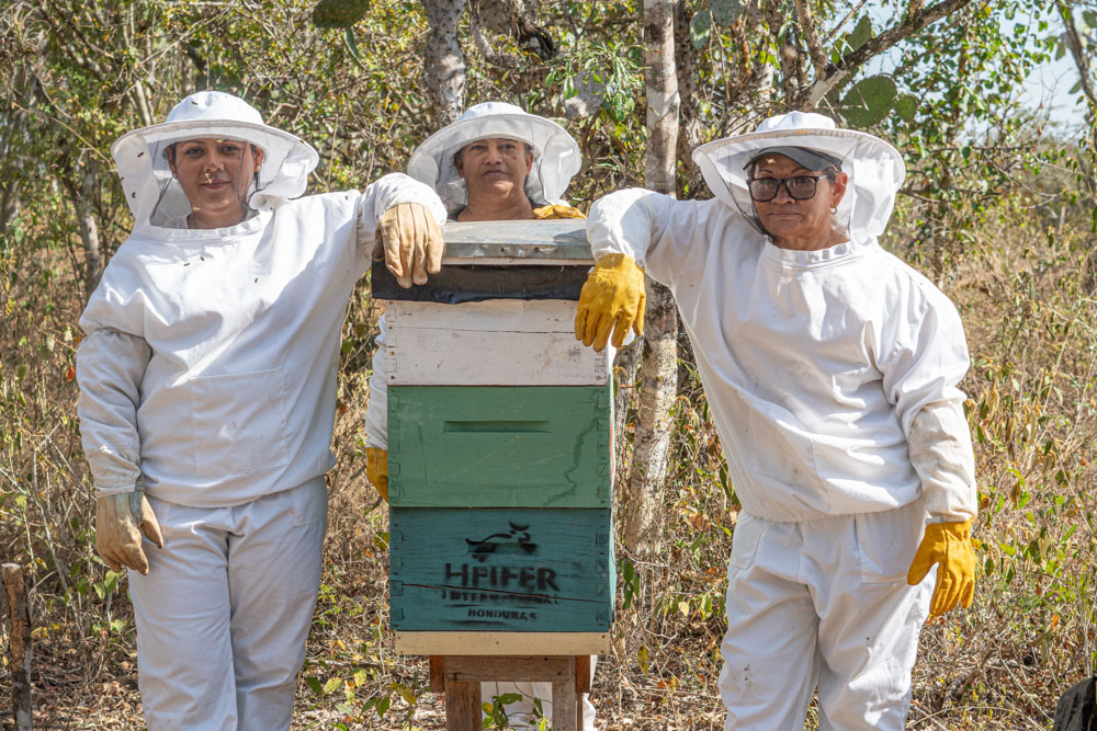 Three women in beekeeping suits stand next to a bee box with the Heifer International logo on the front.