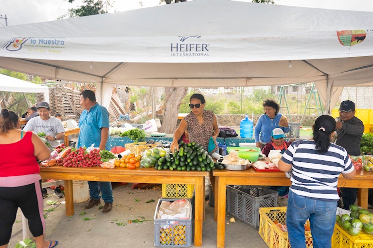 "Consumamos Lo Nuestro" fair where every Saturday agroecological farmers sell their products. San Cristobal, Galapagos, Ecuador.