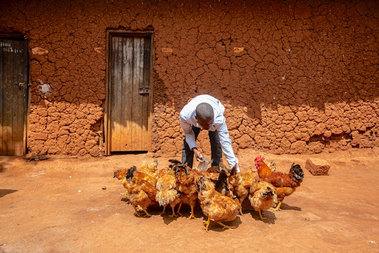 A man feeds chickens outside a mud-brick house.