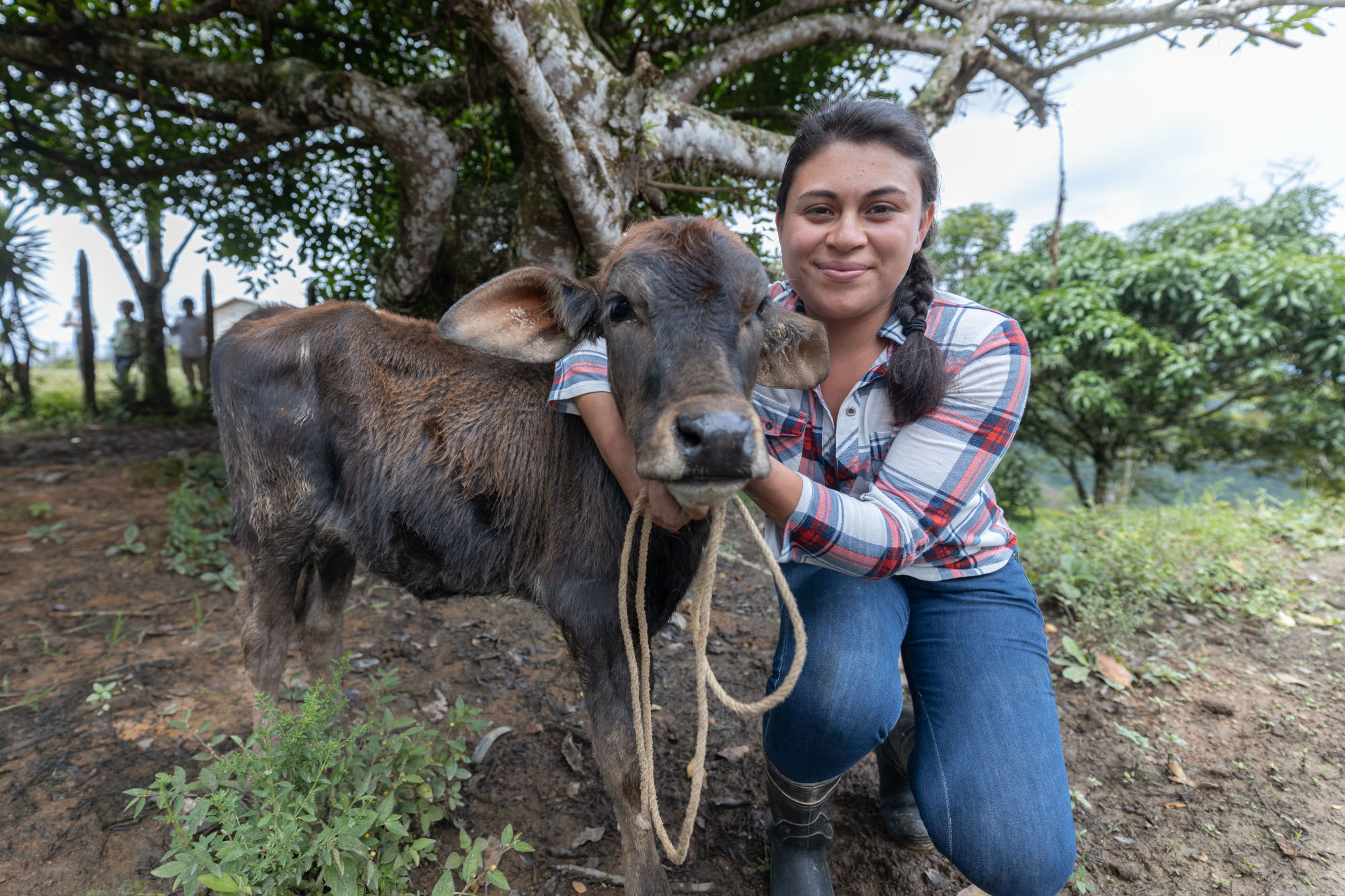 A young woman sitting beside a calf in a village. 