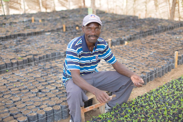 A Haitian man sitting on a bench between rows of potted seedlings.