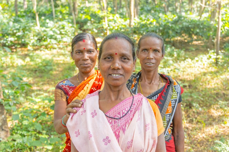 A woman farmer stands with two other women in a forest.
