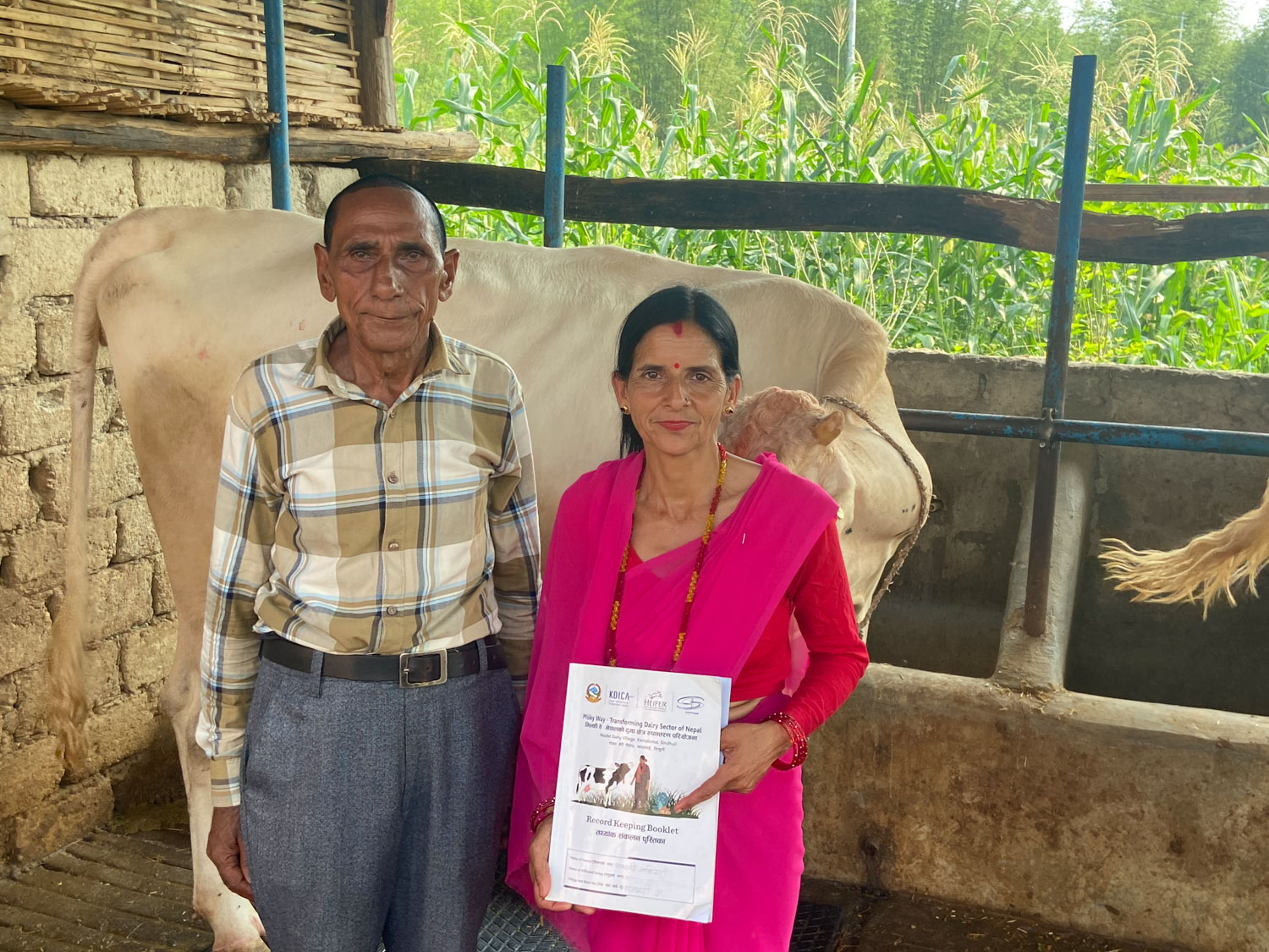 Two farmers show their record-keeping book inside their cow shed.