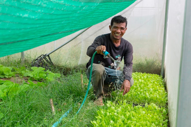 Chhol Chhouy uses a hose that is powered by solar panels to water vegetables in a greenhouse in Prey Vihear commune, Cambodia on December 14, 2024.