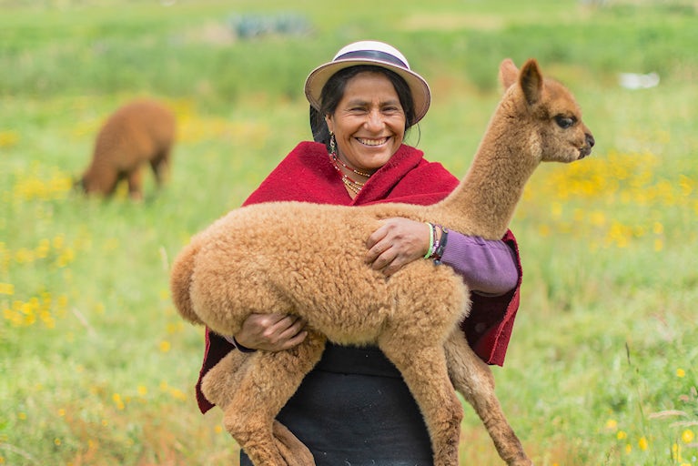 Maria Humerlina Minarcaja with baby alpaca.