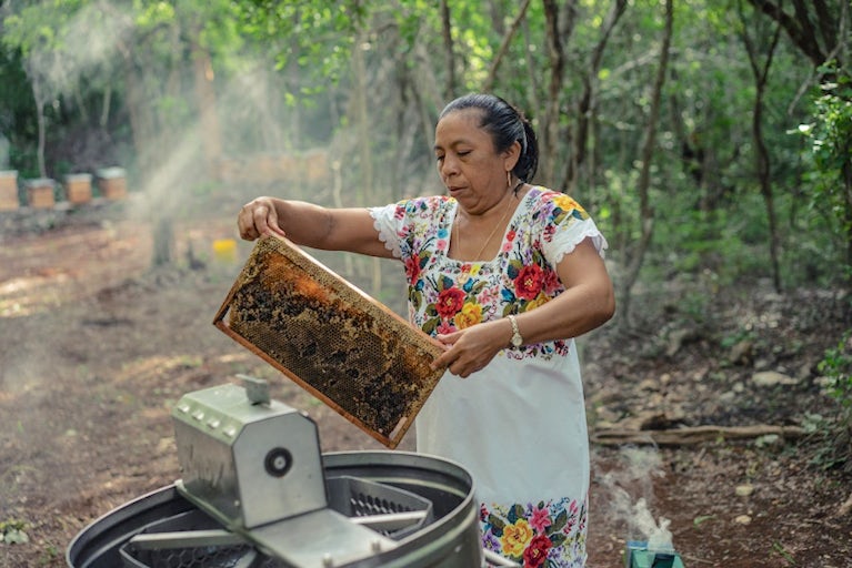Beekeeper in floral dress inspects honeycomb in forest setting.