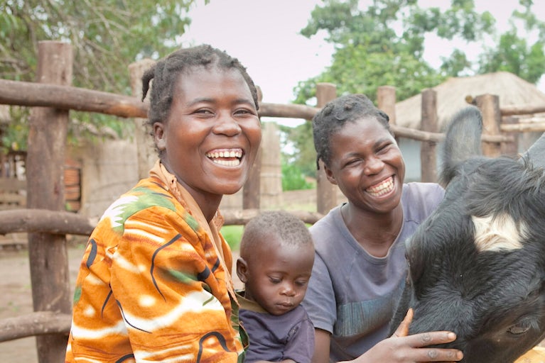 Family petting their cow while it eats grain out of a bowl.