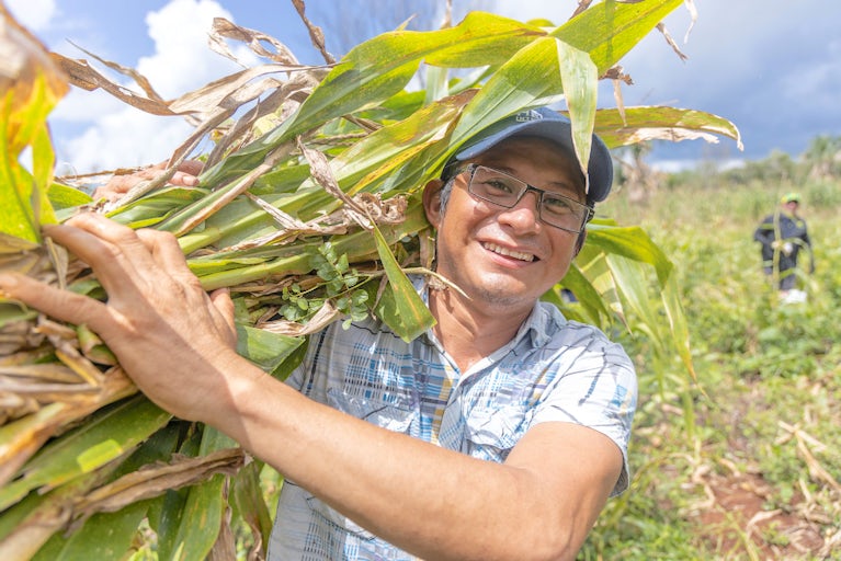 Man wearing a baseball cap and smiling while holding corn stalks.