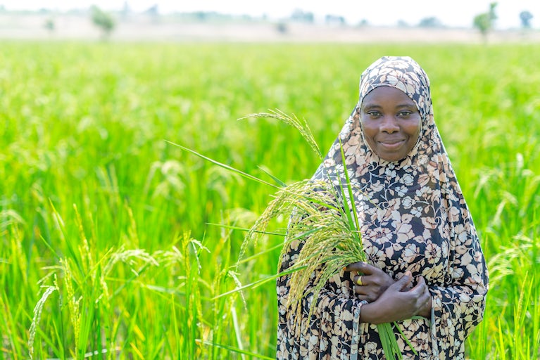 A woman in Nigeria stands in a green rice field holding a small bundle of rice.