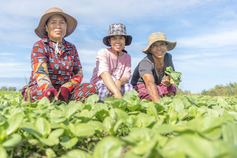 Three women in hats and casual clothes sit among green leafy plants in a field, smiling at the camera on a sunny day with a blue sky in the background.