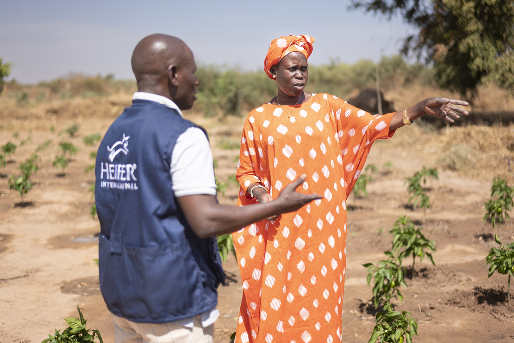 A woman gestures across a field while speaking with a man in a vest during a farm visit.