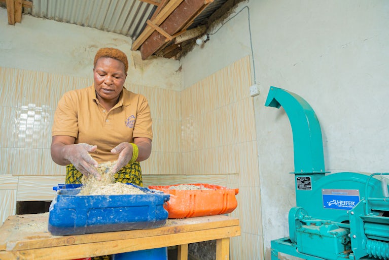 A woman farmer prepares feed for her cows.