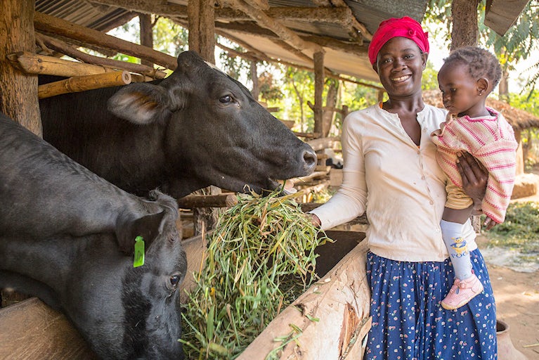 Woman holding a child and feeding a cow in a stable.